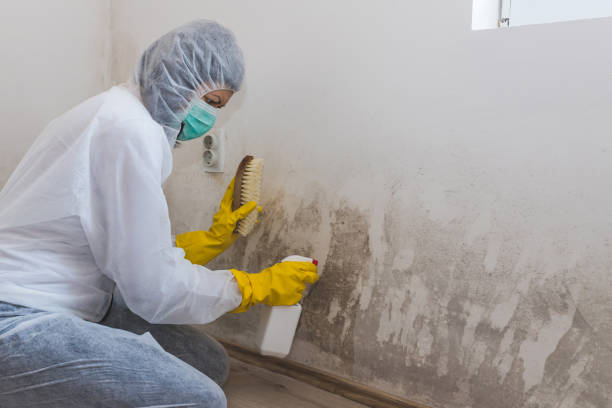 Best Airborne Mold Testing  in Morgans Point Resort, TX