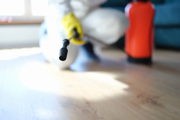 Best Commercial Mold Inspection  in Morgans Point Resort, TX