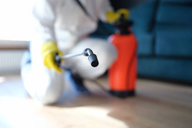 Best Mold Prevention Services  in Morgans Point Resort, TX