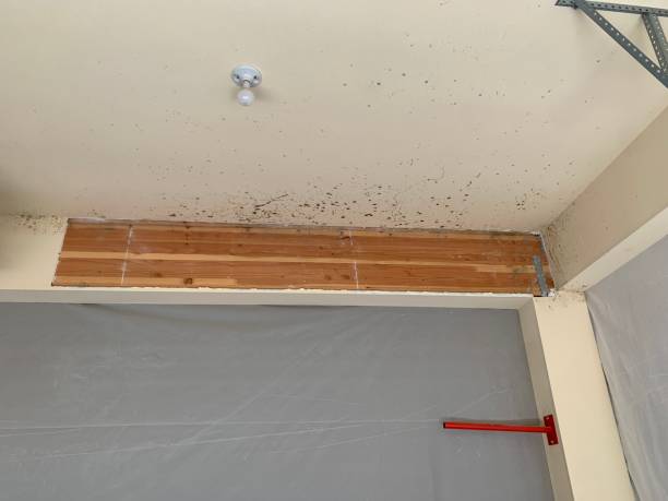 Best Post-Construction Mold Inspection  in Morgans Point Resort, TX